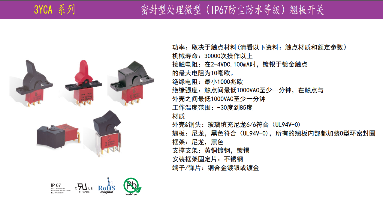 防水翹板開關 防水翹板開關
