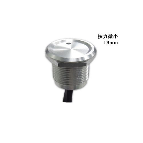 帶燈壓電開關
